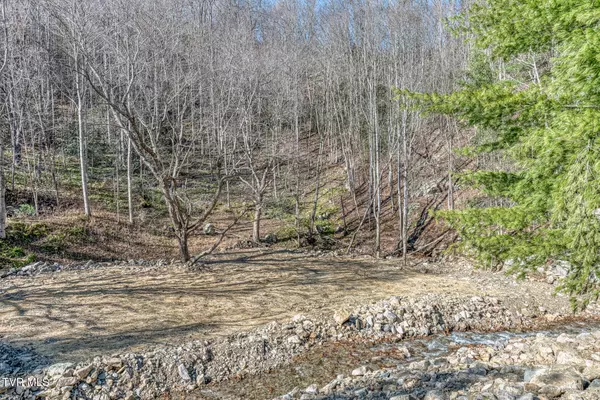 Trade, TN 37691,6826 Highway 421