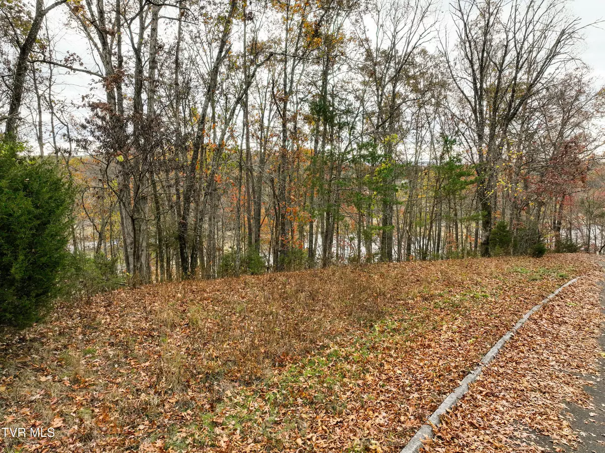 Piney Flats, TN 37686,121 Pointe DR