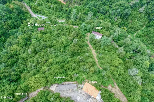 176 Wade Bulla RD, Watauga, TN 37694