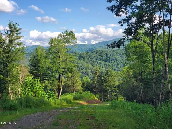 Butler, TN 37640,Lot 16 Tuscanee Lane