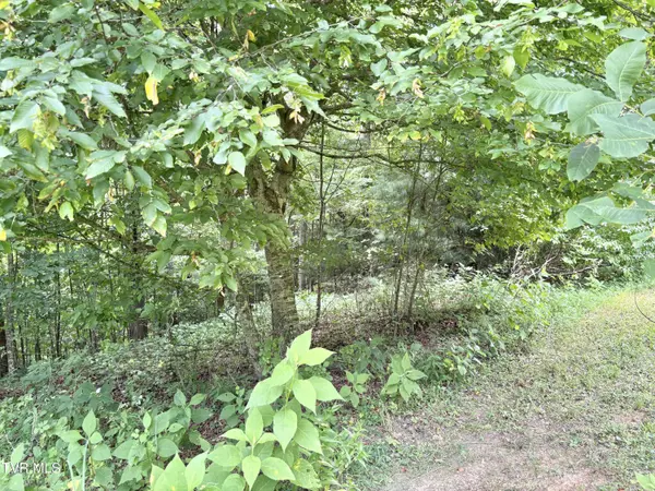 Butler, TN 37640,Lot 30 Rock Island