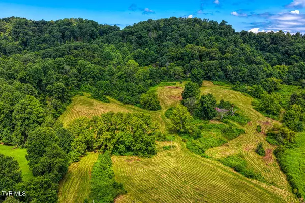Rogersville, TN 37857,Tbd Hickman Hills RD
