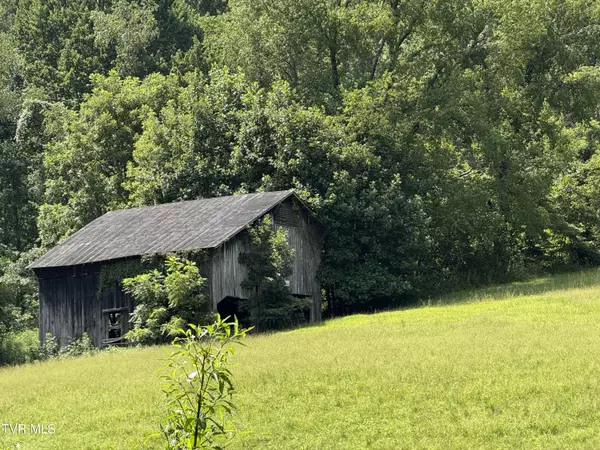 Nickelsville, VA 24271,000 Long Hollow RD