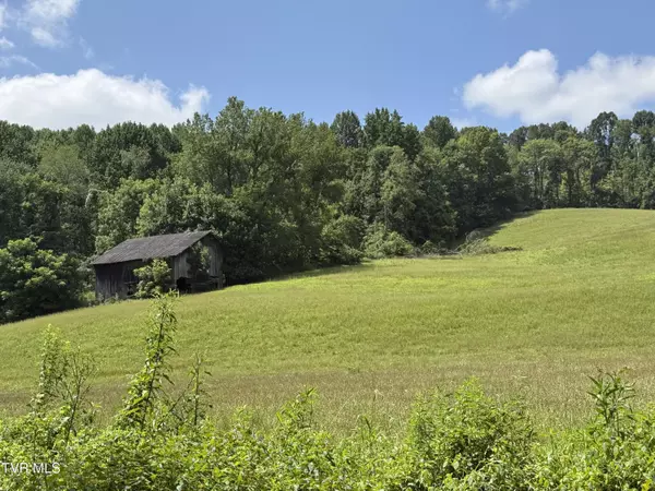 Nickelsville, VA 24271,000 Long Hollow RD