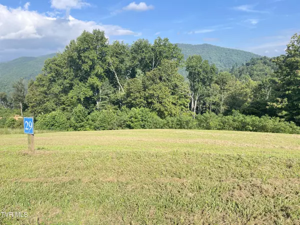 Mountain City, TN 37683,Tbd Cowan Town RD
