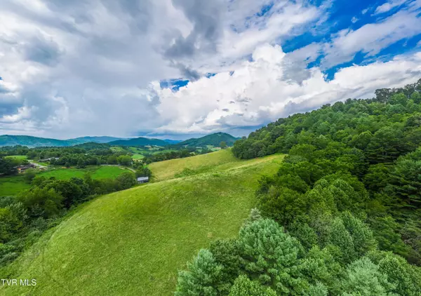 Butler, TN 37640,0 Meal Camp Hollow RD