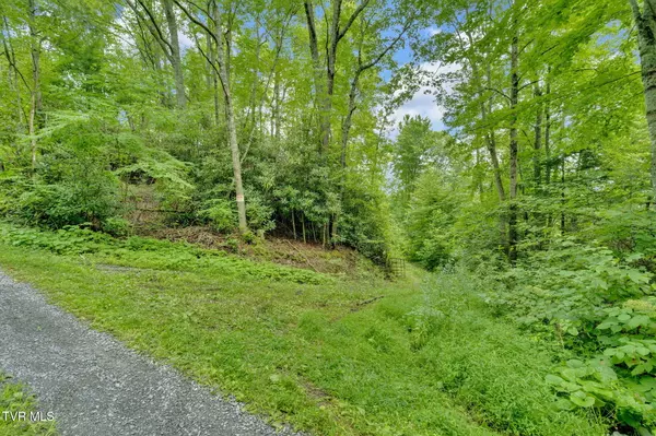 Roan Mountain, TN 37687,162 Murph Potter LN