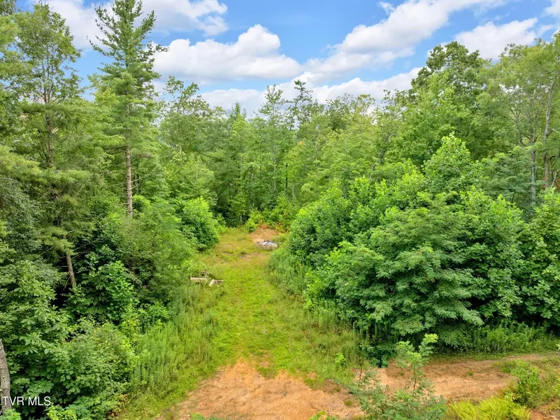 162 Murph Potter LN, Roan Mountain, TN 37687