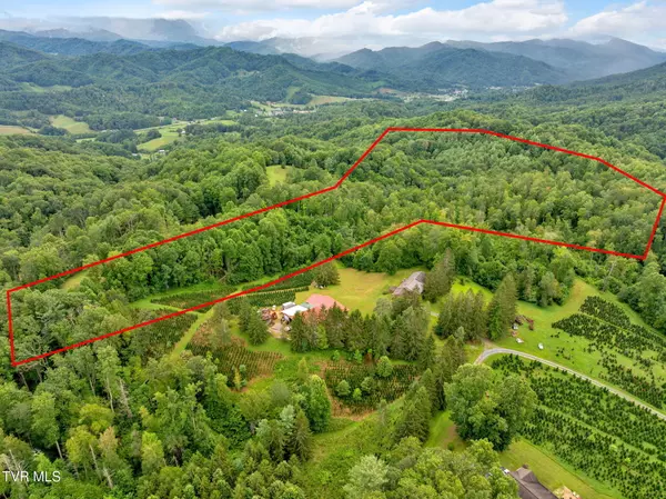 Roan Mountain, TN 37687,162 Murph Potter LN