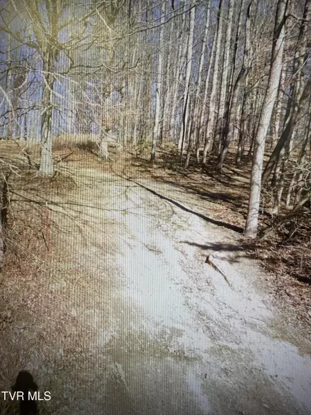 Tbd Smith Hollow Rd, Church Hill, TN 37642