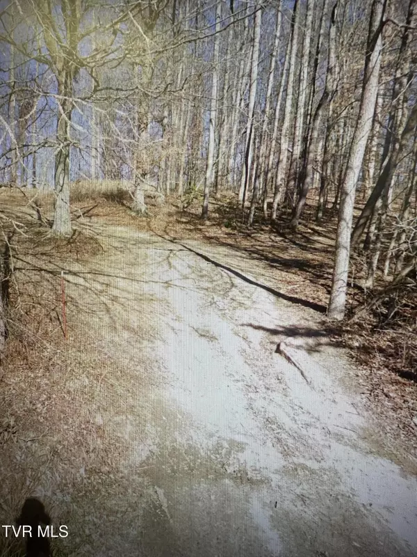Tbd Smith Hollow Rd, Church Hill, TN 37642