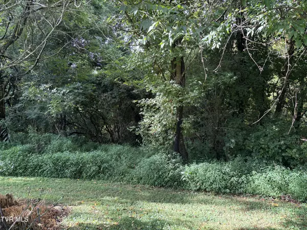 Elizabethton, TN 37643,Tbd Scenic DR