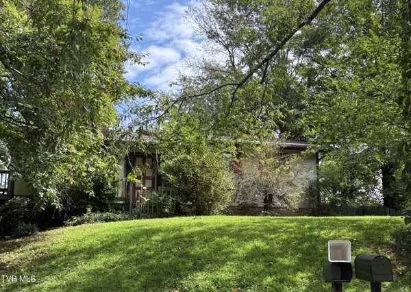 151 Milligan ST, Johnson City, TN 37601