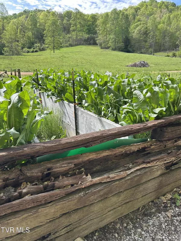 Sneedville, TN 37869,1446 Brooks RD