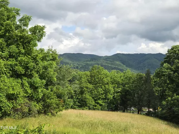 Johnson City, TN 37604,1504 Southwest AVE