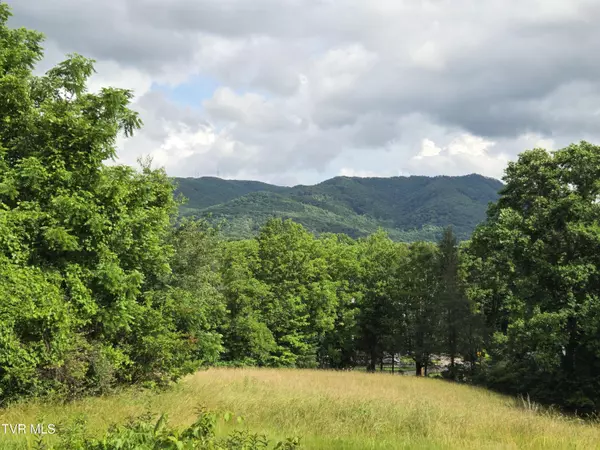 Johnson City, TN 37604,1504 Southwest AVE
