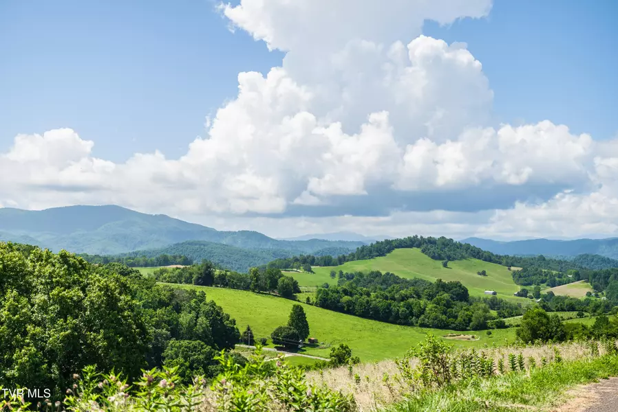 Lot 64 W Of Dry Hill RD, Butler, TN 37640
