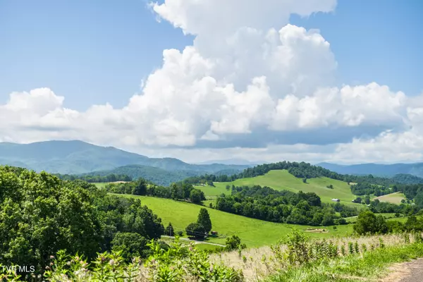 Lot 64 W Of Dry Hill RD, Butler, TN 37640