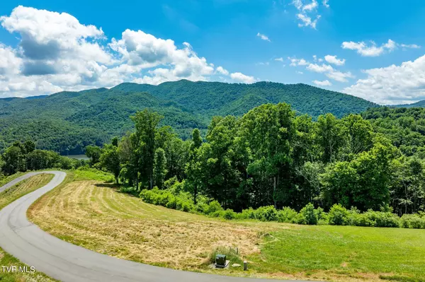 Butler, TN 37640,Lot 28 Eagle Ridge Pkwy