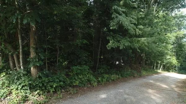 Abingdon, VA 24211,Tbd Webb DR