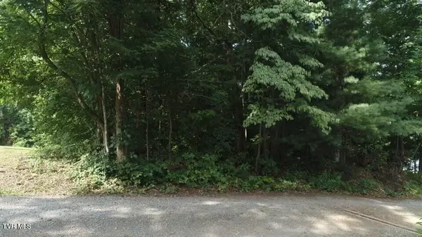 Abingdon, VA 24211,Tbd Webb DR