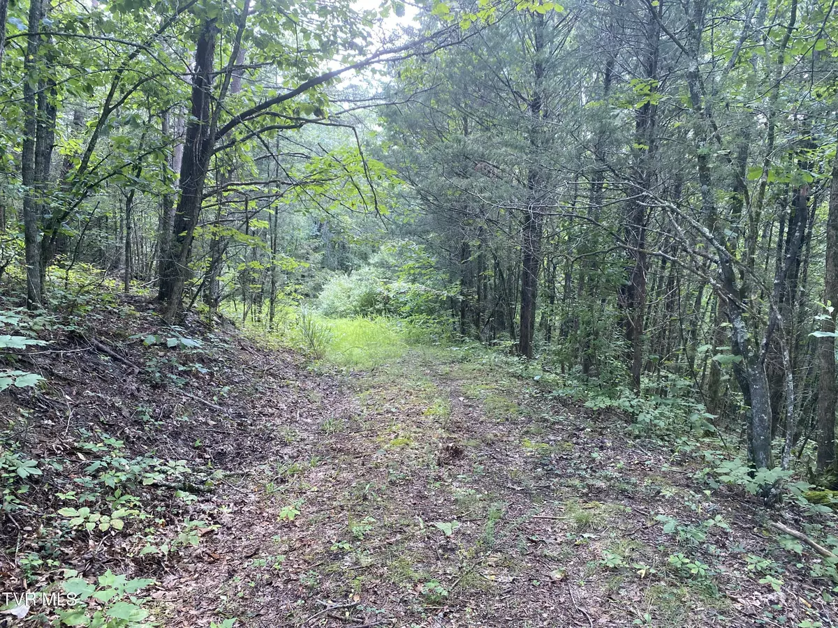 Blackwater, VA 24221,0 Sinks (103 Acres) RD