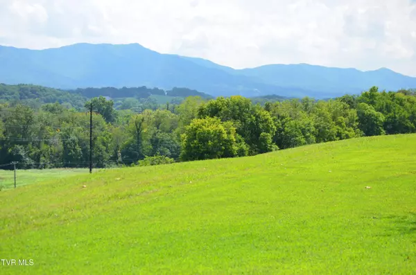 Greeneville, TN 37743,Lot 15 Golf Villa DR