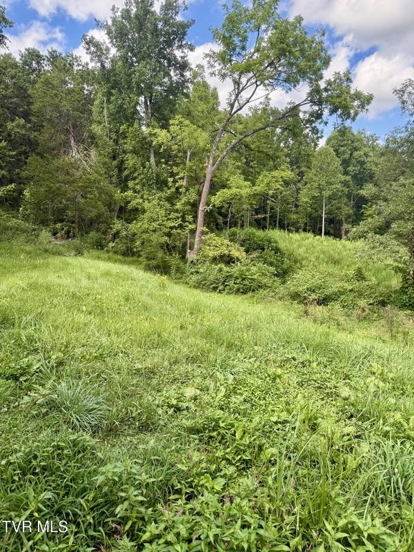 Hampton, TN 37658,116 Jc Vines RD