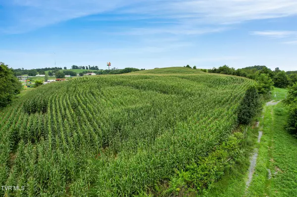 Meadowview, VA 24361,0 Glenbrook Ave