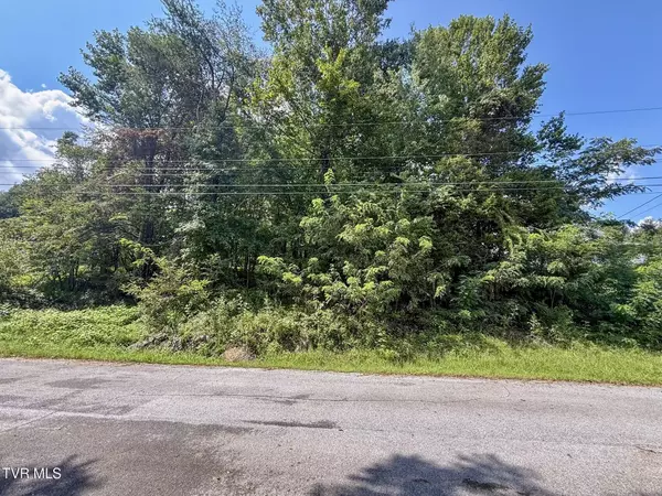 Tbd Herron DR, Kingsport, TN 37663
