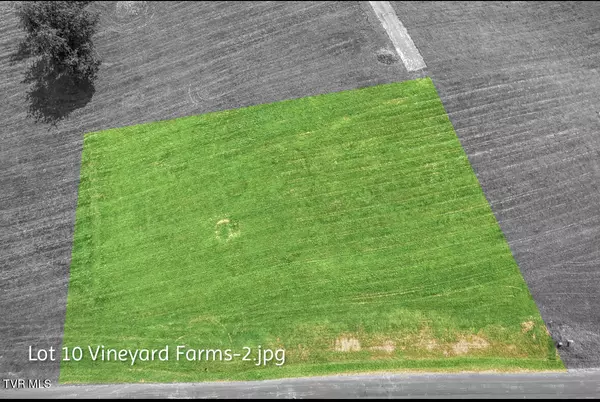Butler, TN 37640,Lot 10 Dry Hill RD
