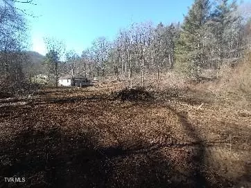 Norton, VA 24273,6728 Guest River RD