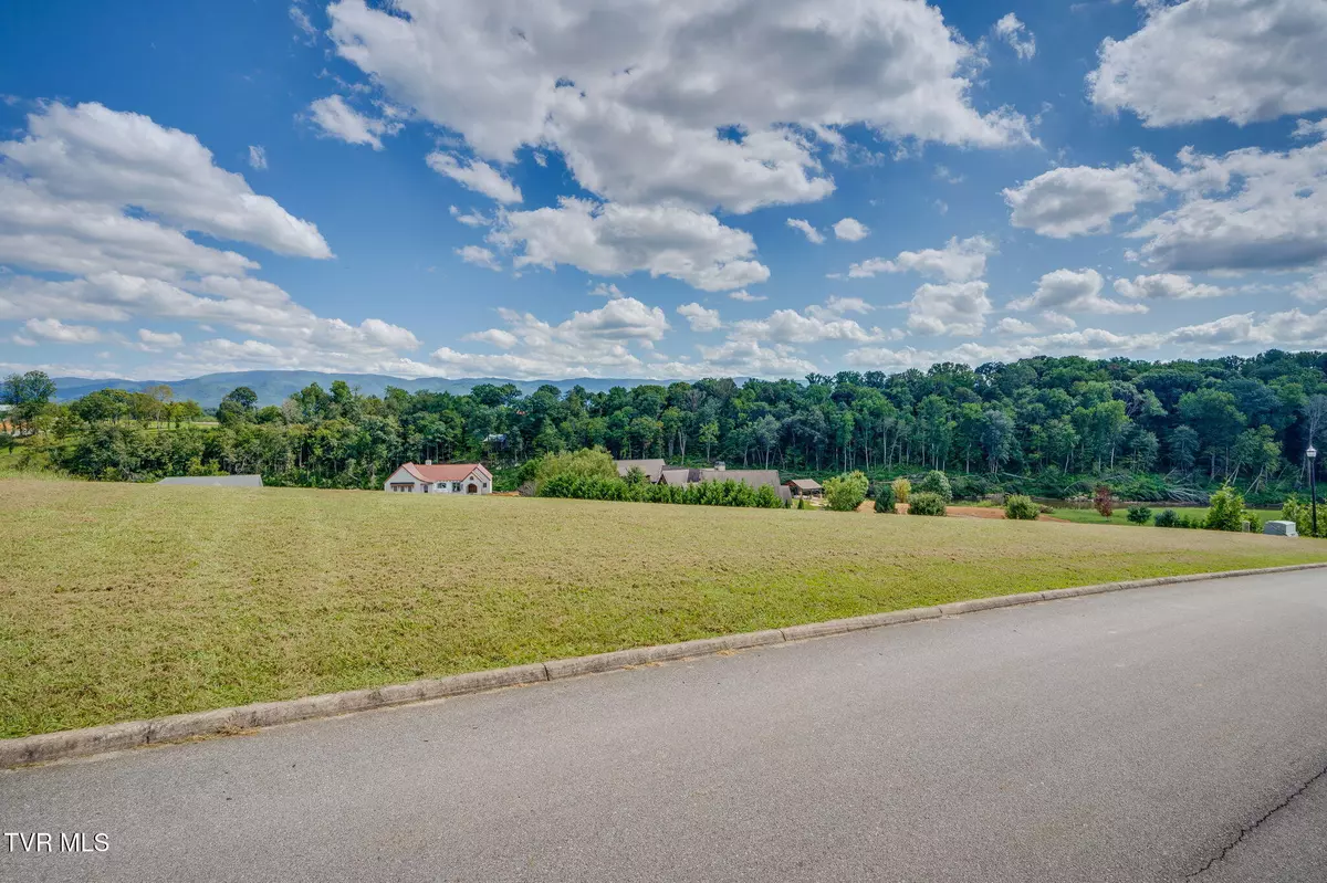 Greeneville, TN 37745,Lot 43 Belle Arden DR