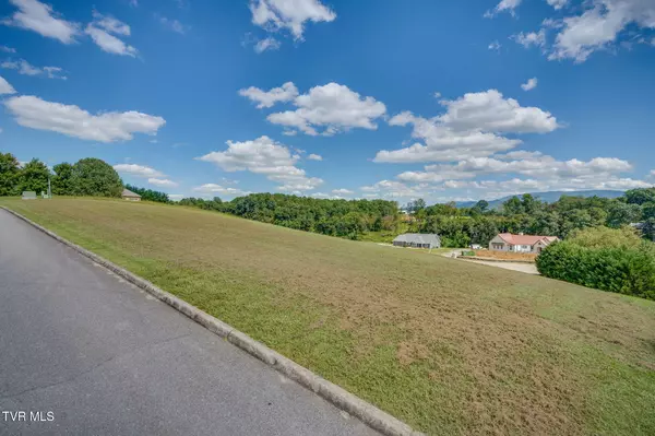 Greeneville, TN 37745,Lot 43 Belle Arden DR