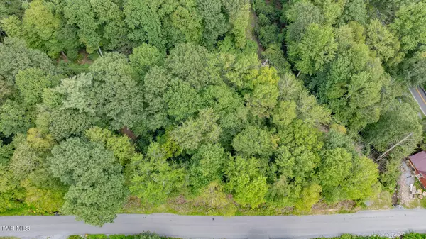 Damascus, VA 24236,Tbd Azen RD