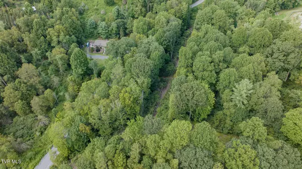 Damascus, VA 24236,Tbd Azen RD