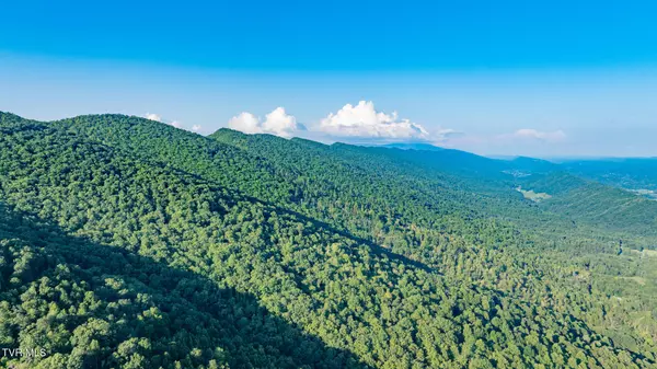 Mendota, VA 24270,Tbd Mendota RD