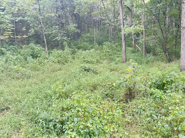 Greeneville, TN 37743,00 Hoover RD