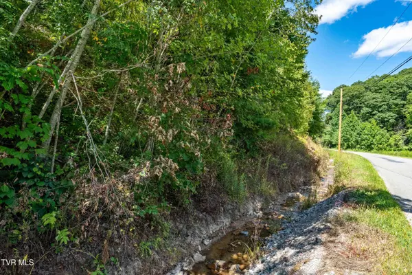 Trade, TN 37691,Tbd Bulldog RD