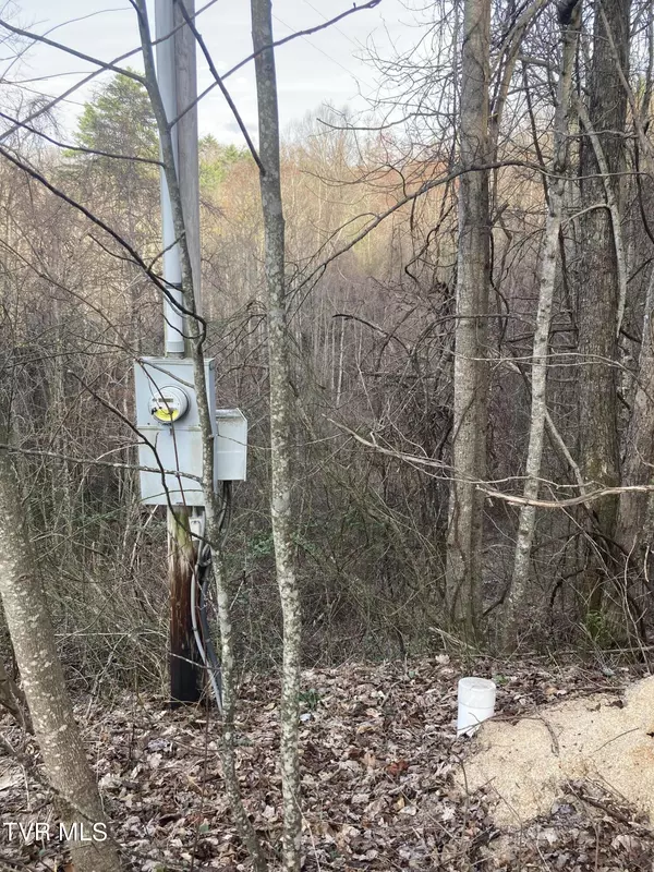 Butler, TN 37640,1008 Locust LN