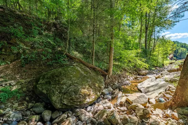 Mountain City, TN 37683,5931 Big Dry Run RD