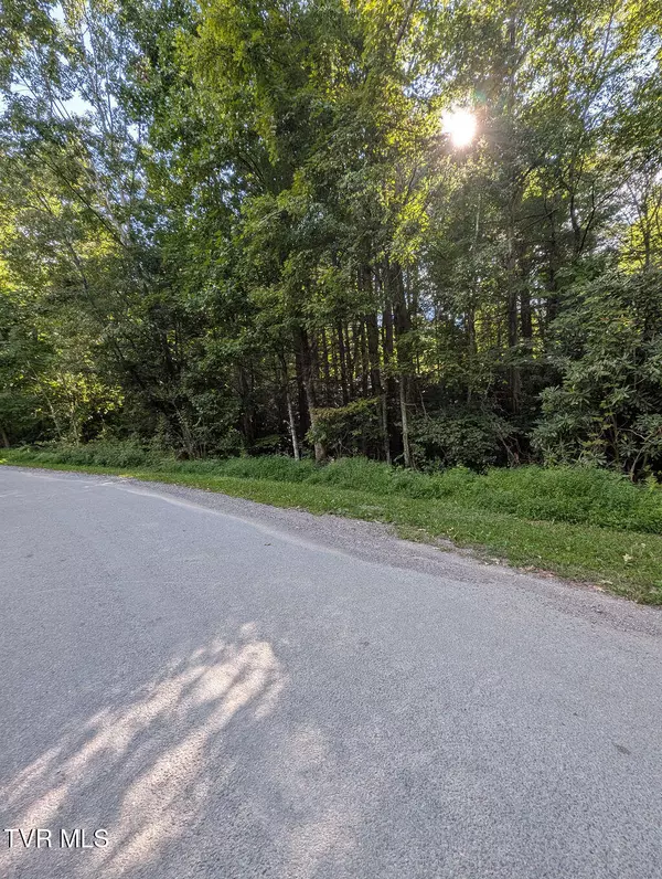 Mountain City, TN 37683,Tbd Deer Creek Xing