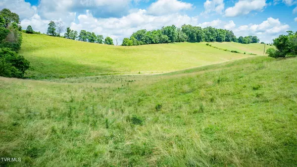 Bulls Gap, TN 37711,Tbd Long Town RD