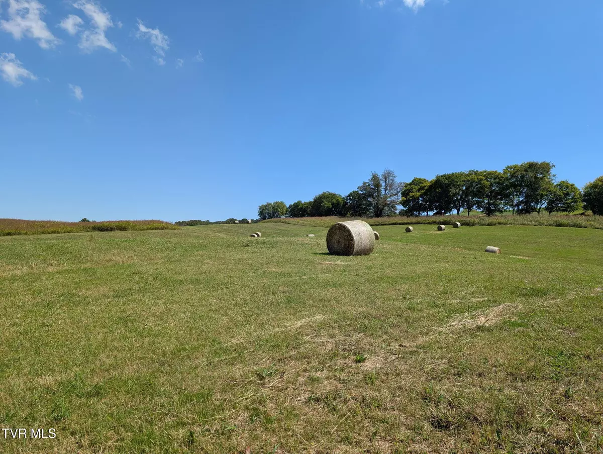 Greeneville, TN 37743,00 Bright Hope RD