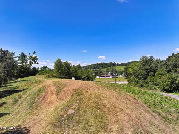 Cedar Bluff, VA 24609,Tbd Willow Springs Road