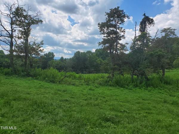Jonesborough, TN 37659,Tbd Rocky Hollow RD