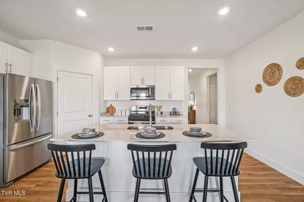 Blountville, TN 37617,229 Chimney View Loop