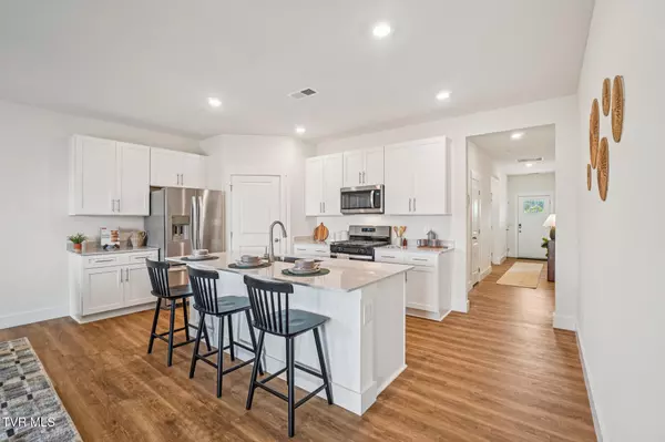 Blountville, TN 37617,229 Chimney View Loop