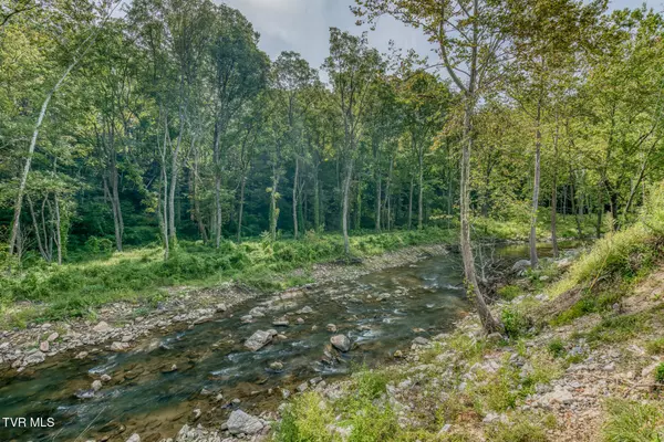 Butler, TN 37640,6646 Roan Creek RD