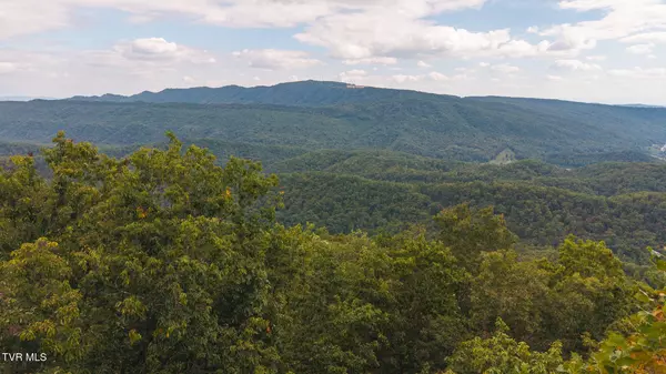 Mooresburg, TN 37811,170 Fire Tower RD